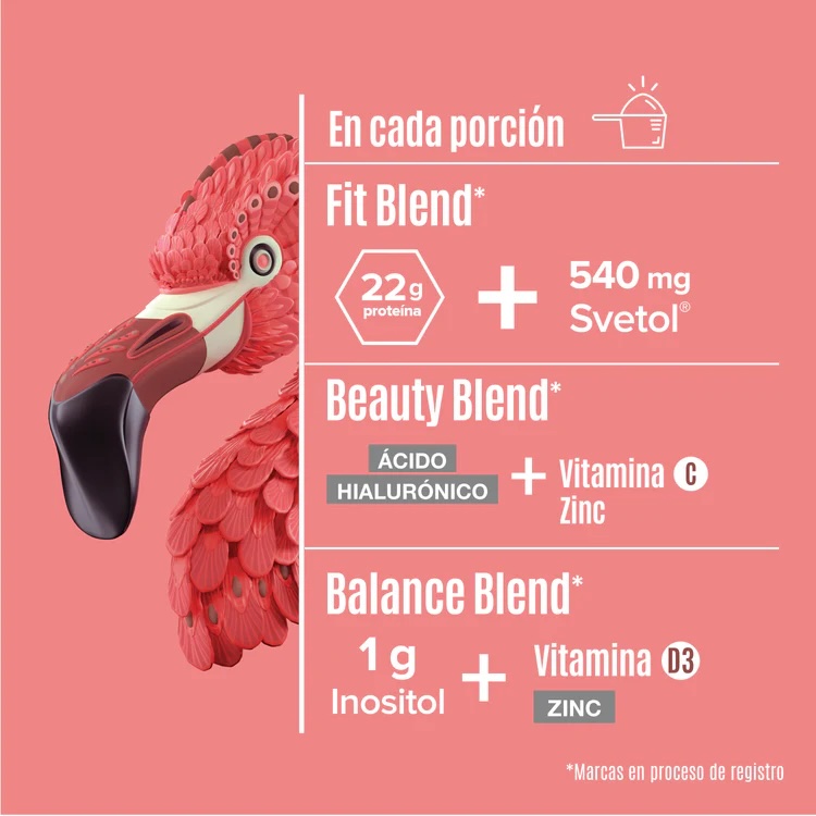 Bridman Fitmingo Protein Moka 1.7 kg 50 serv